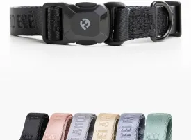 2025 New Edition, Fei & Eve MagEase Dog Collar - Patented Magnetic Buckles | Fur-Safe | Premium 210D Nylon | 450LB Escape-Proof | Adjustable Fit | Medium (Black)