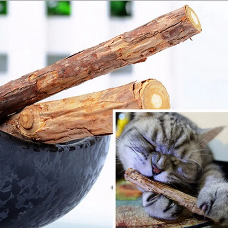5PCS Cat stick Chew Toy Dental Health Cleaning Teeth