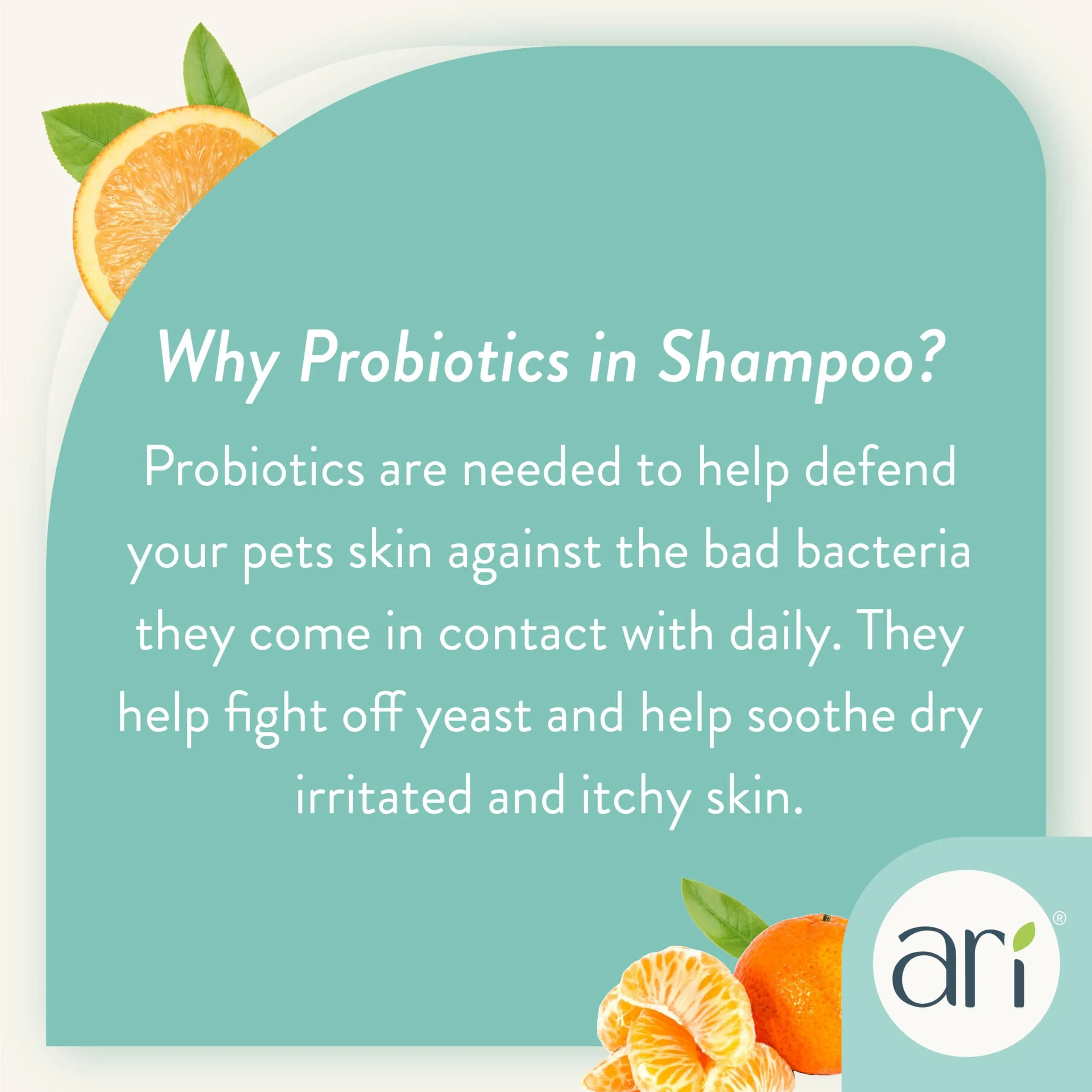ARI Probiotics Green Tea and Mandarin 2-in-1 Dog Shampoo and Conditioner - 16 Oz