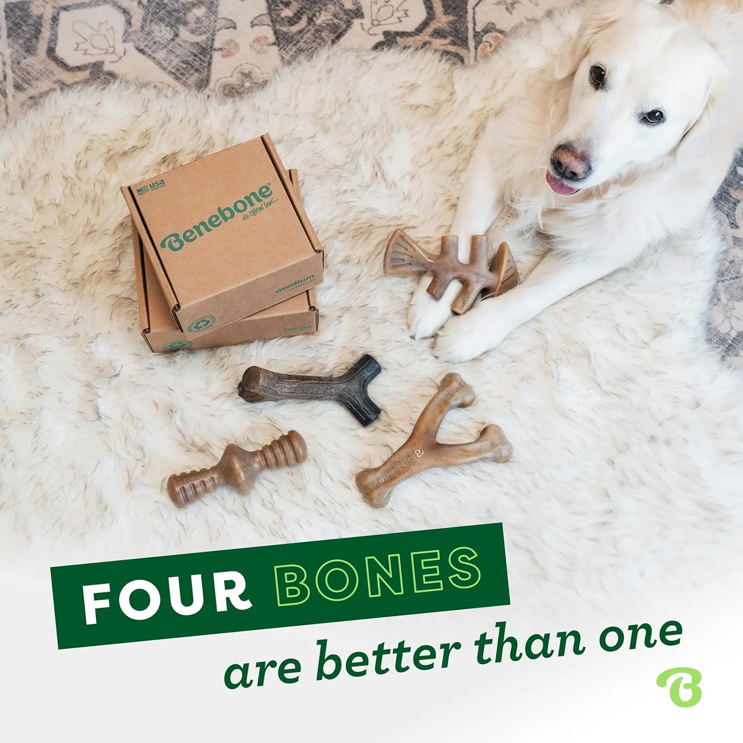 Benebone Small 4-Pack Dog Chew Toys for Aggressive Chewers, Made in USA, 30lbs and Under
