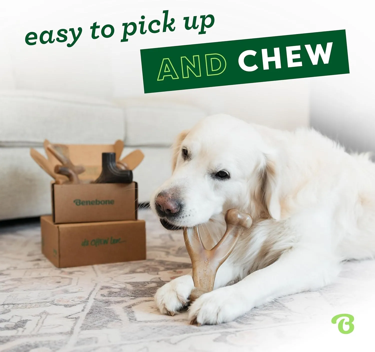 Benebone Small 4-Pack Dog Chew Toys for Aggressive Chewers, Made in USA, 30lbs and Under