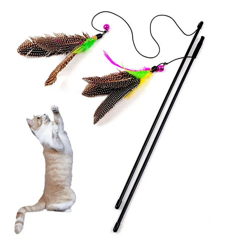 Bird Feather Teaser Wand