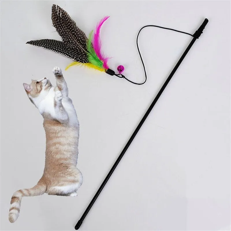 Bird Feather Teaser Wand
