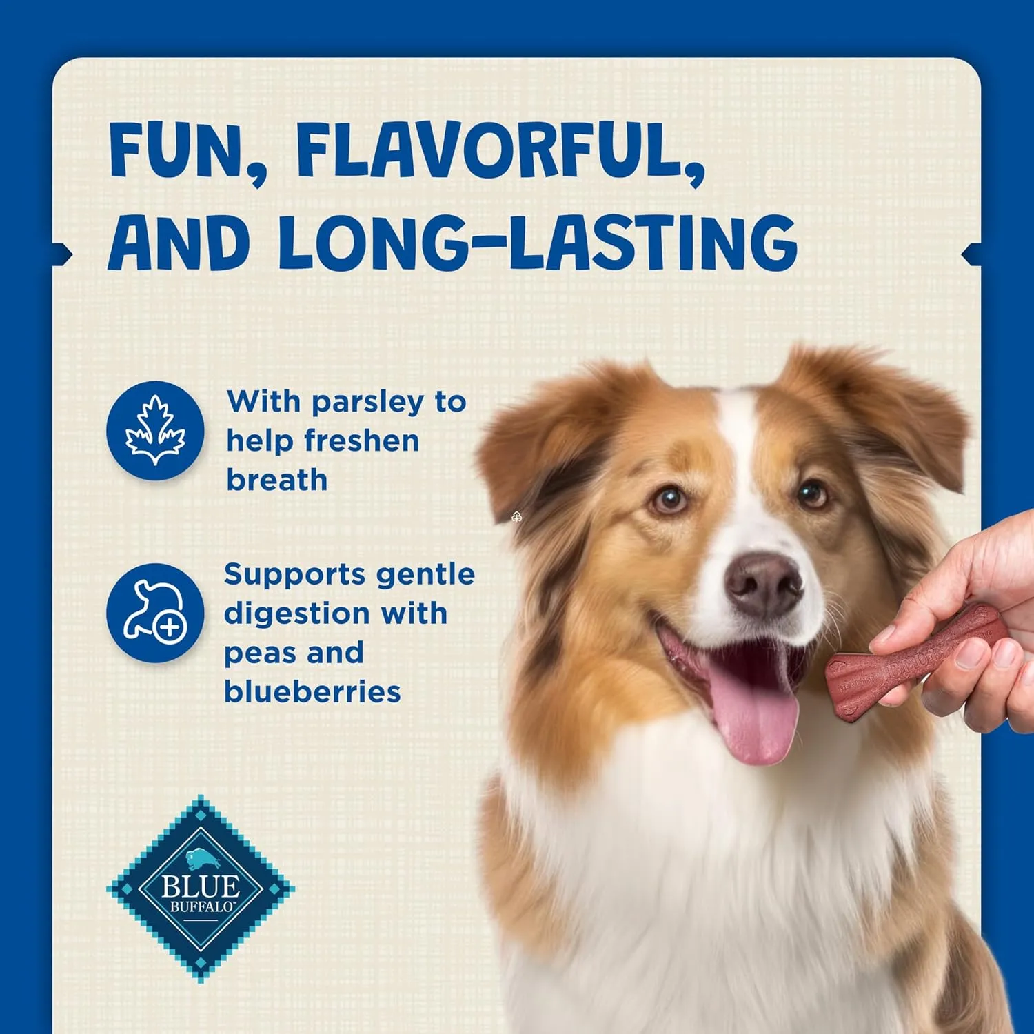 Blue Buffalo Dental Bones Mini Natural Dental Chew Dog Treats Bag, 12oz. Bag