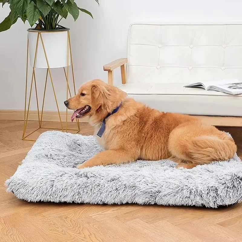 BRÉMIS Orthopedic Foam Pet Bed