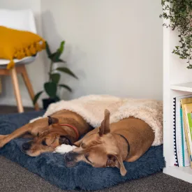 BRÉMIS Orthopedic Foam Pet Bed