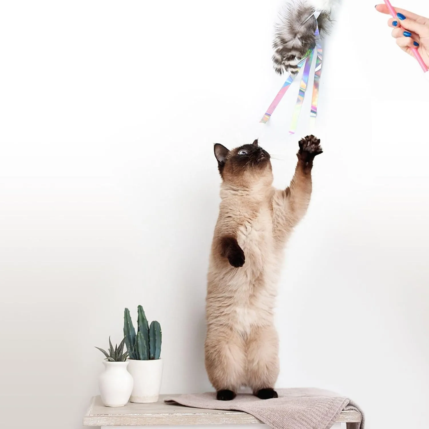 Cat Insect Feather Toys Replacement Cat Toy Wand Refills, 6 Pieces Natural Insect Cat Toy Feathers Refill, Interactive Cat Teaser Wand Attachments, with Bell