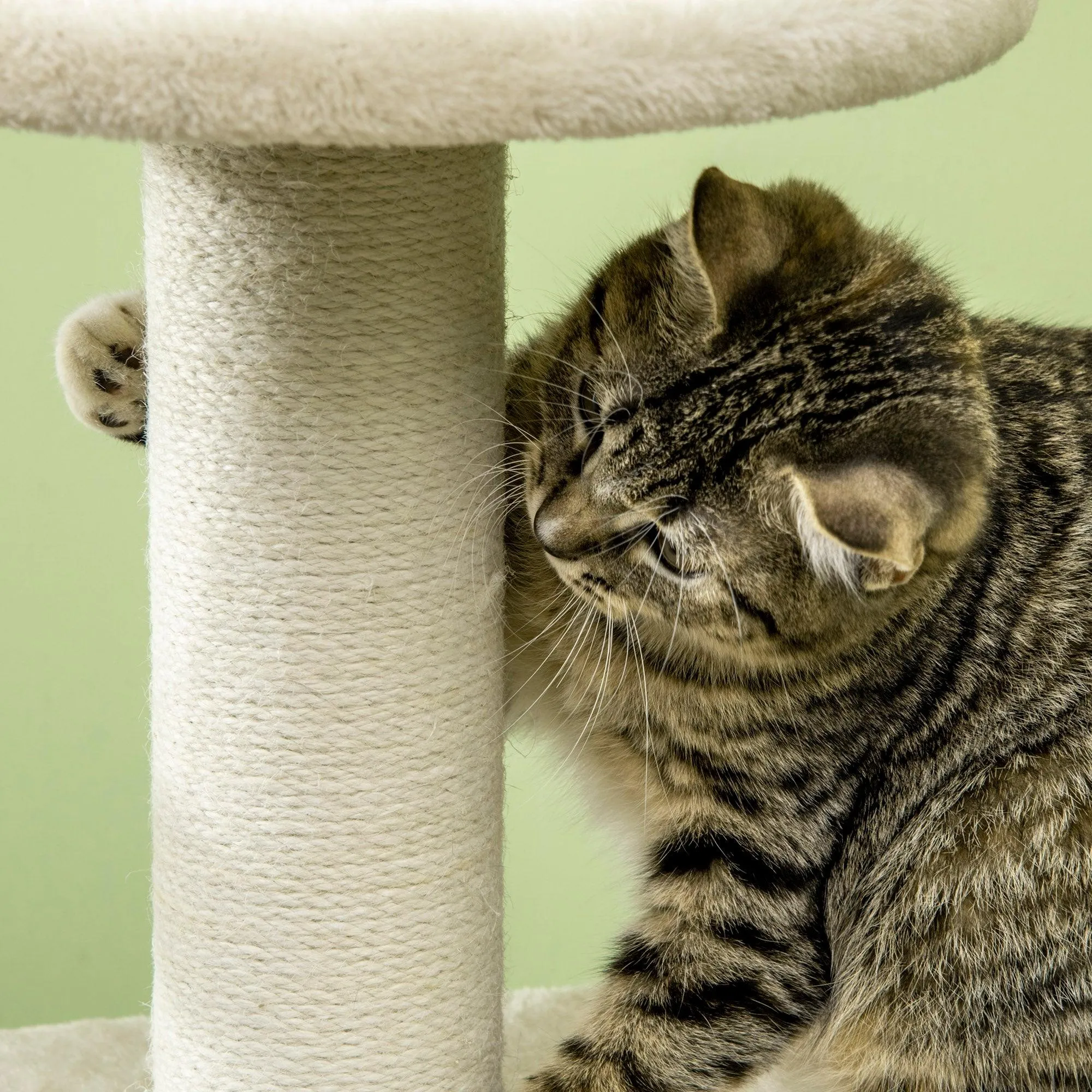Cat Tree Climbing Tower, 128cm - Beige