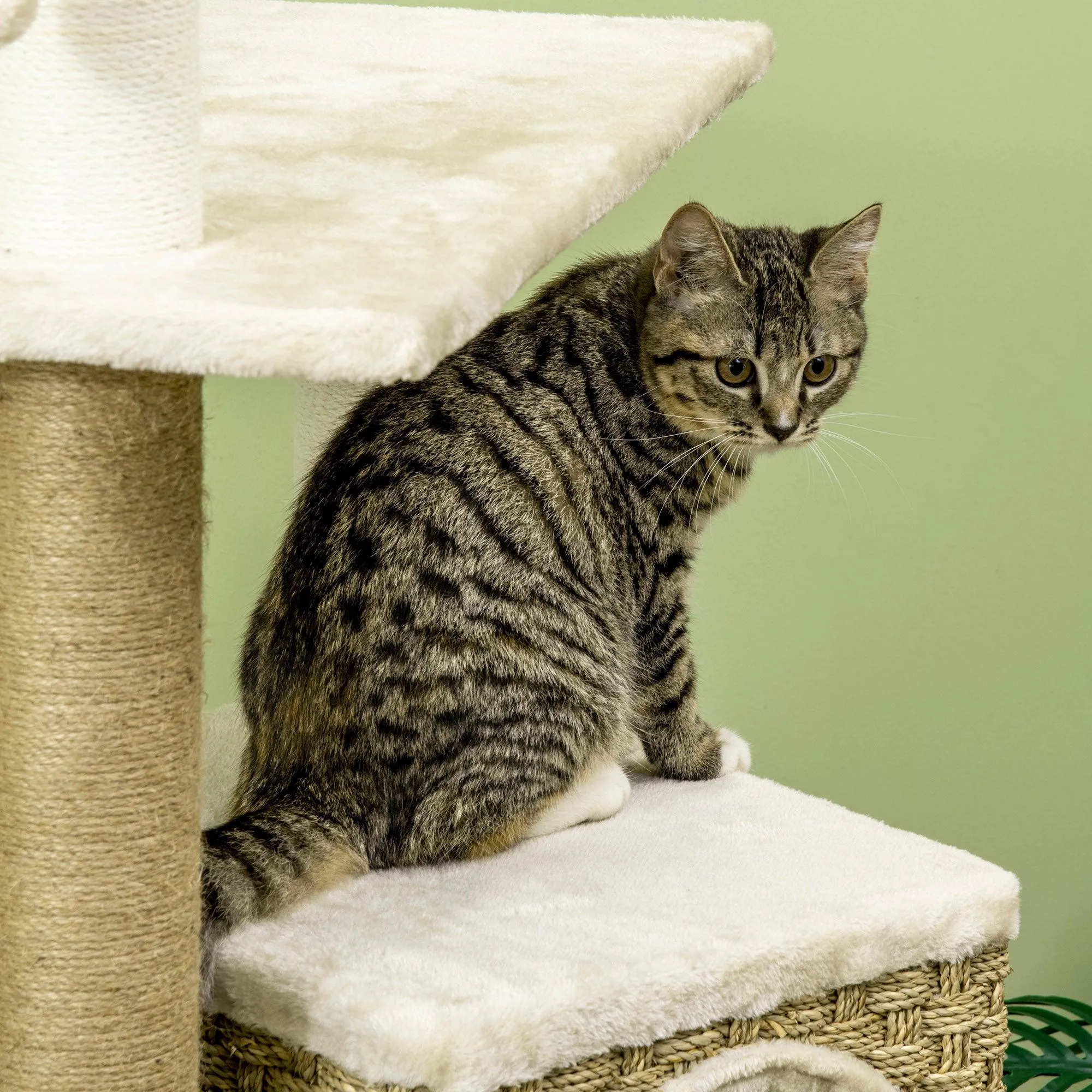Cat Tree Climbing Tower, 128cm - Beige