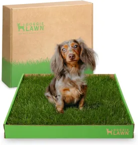 DoggieLawn Real Grass Puppy Pee Pads- 24 x 16 Inches - Perfect Indoor Litter Box for Dogs - No Mess, Easy-to-Use - Potty Training for Pets - Eco-Friendly Disposable Bathroom with Real Living Grass