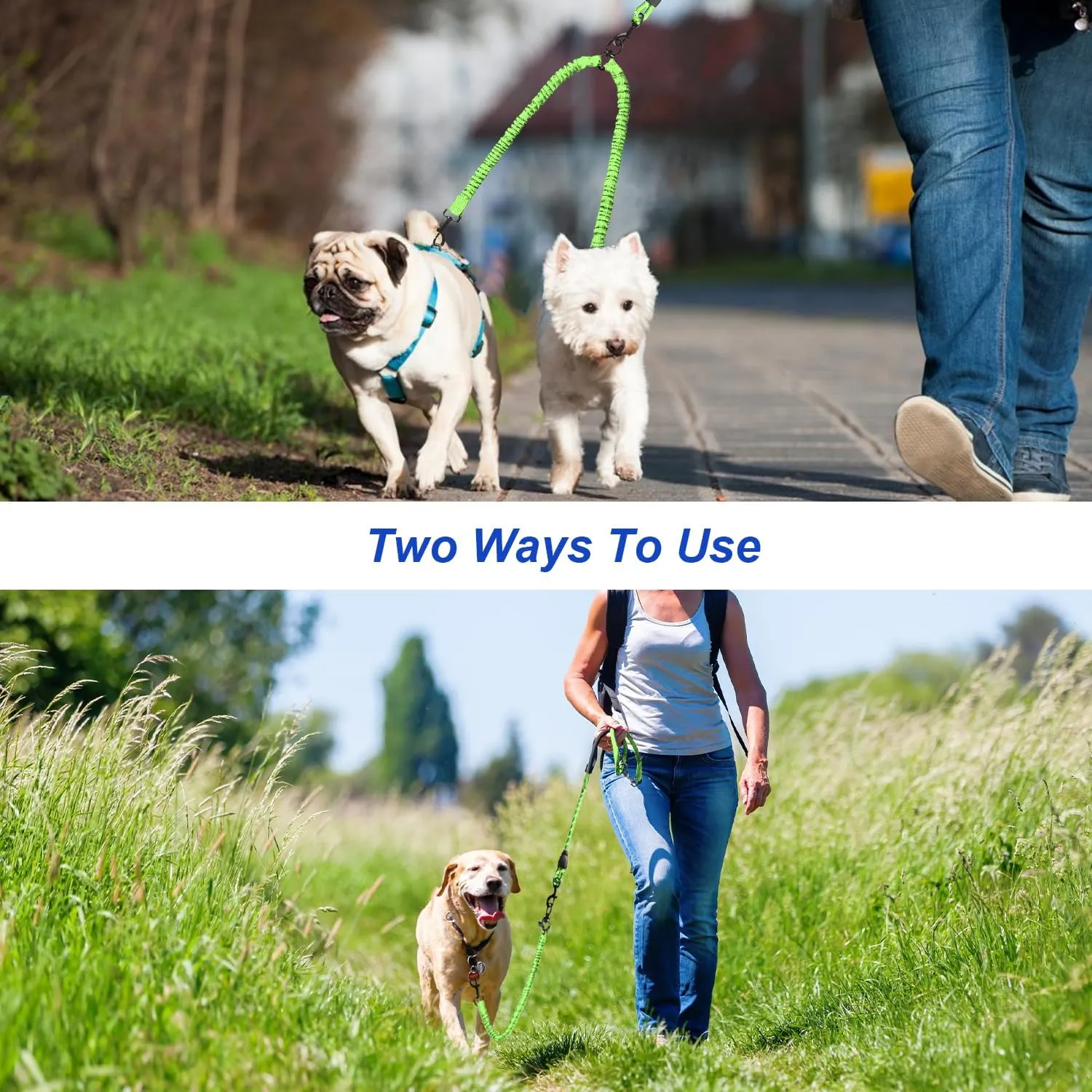 Double Dog Leash, Dual Dog Leash, 360 Swivel Tangle Free Bungee Walking Training for Medium Dogs, Shock Absorbing Bungee Reflective for Two Dogs, 18~120 lbs, Green