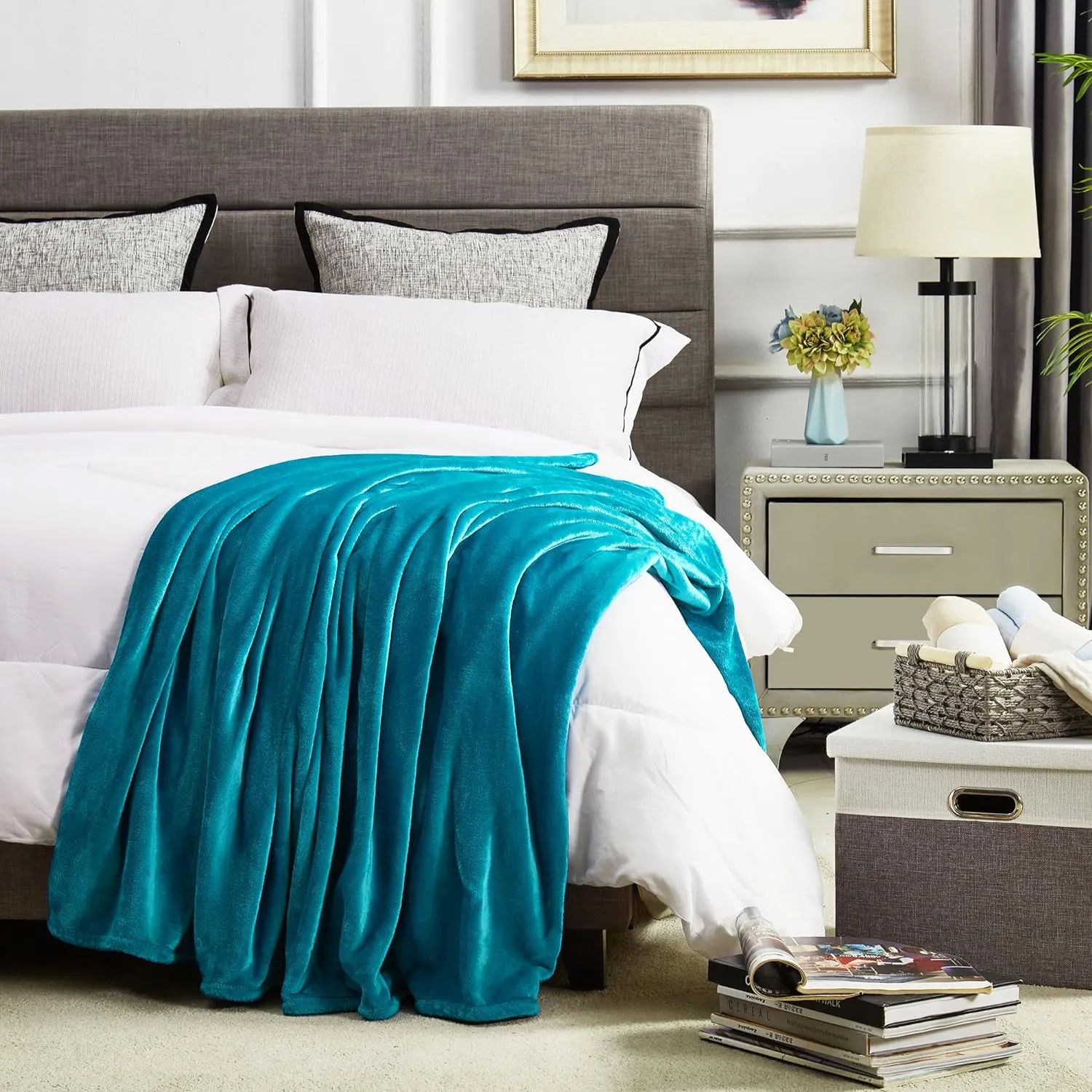 DREAMNINE Soft Cozy Plush Fleece Throw Blanket 50" x 60", Solid Shag Minky Lightweight Lap Fuzzy Flannel Blanket for Bedroom, Luxury Washable Warm Velvet Blankets for Couch Sofa Pet, Breathable, Teal