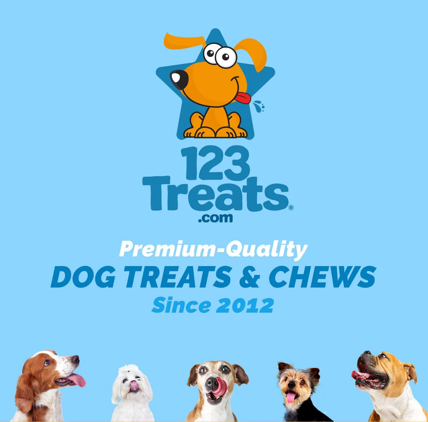 Dried Sheep Legs with Hooves for Dogs (5 Count) , Tough Dog Treats for Aggressive Chewers, Long-Lasting Dog Bones Ideal for Dogs