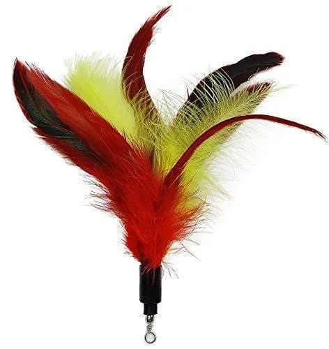 EcoCity Cat Toys - Cat Teaser Toys - Include Cat Wand and Natural Feather Refills (5 Pack)