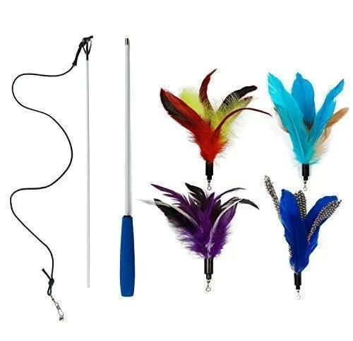 EcoCity Cat Toys - Cat Teaser Toys - Include Cat Wand and Natural Feather Refills (5 Pack)
