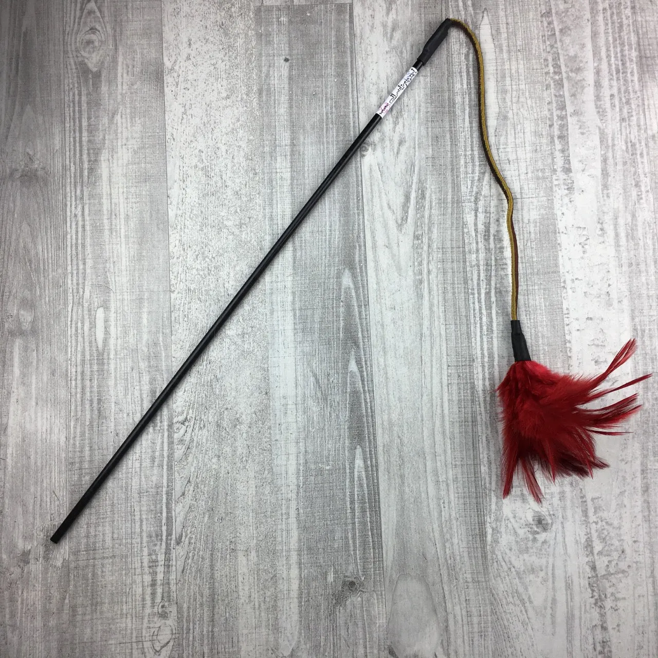 Feathers on a Leather String Cat Teaser Toy