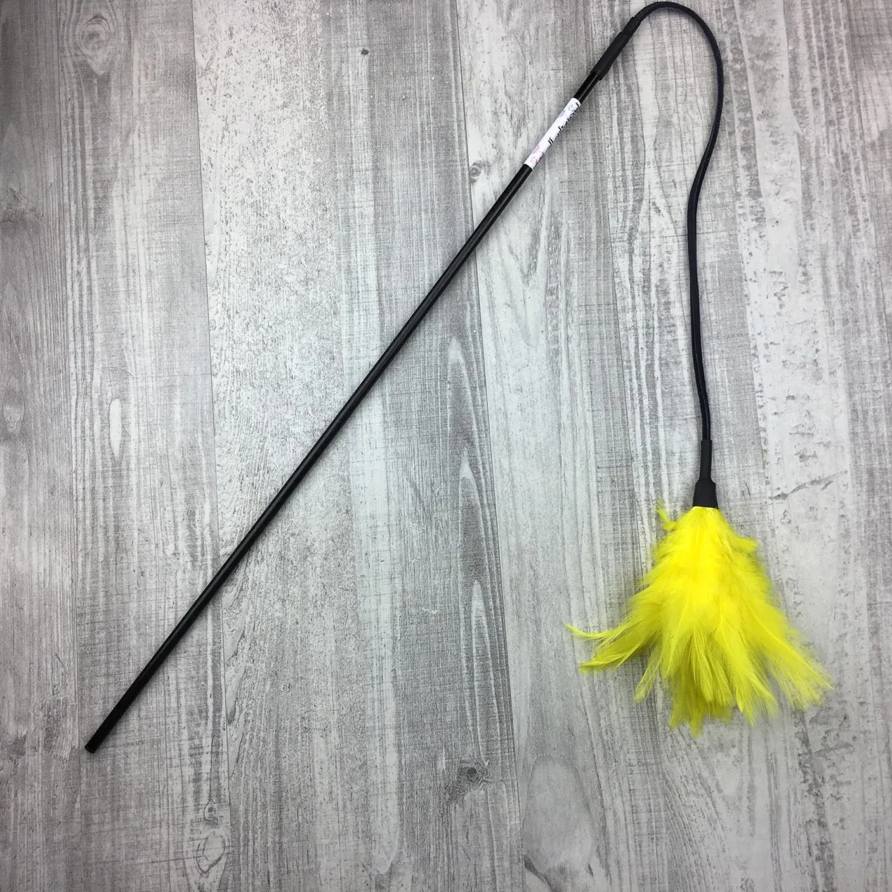 Feathers on a Leather String Cat Teaser Toy