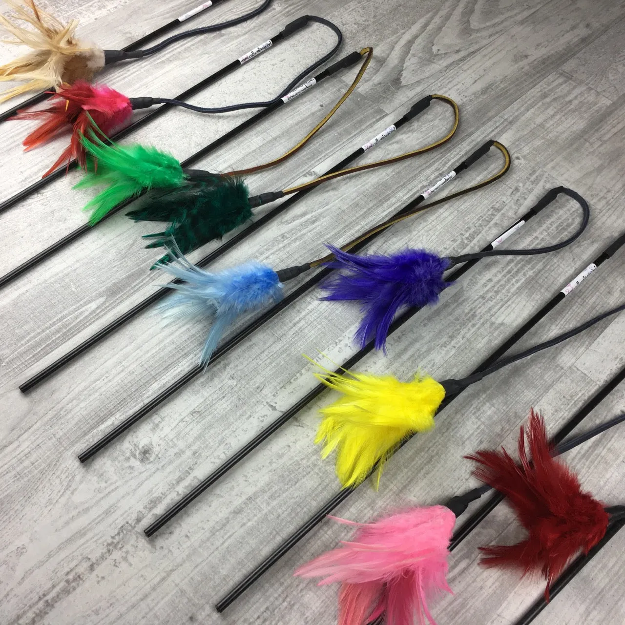 Feathers on a Leather String Cat Teaser Toy