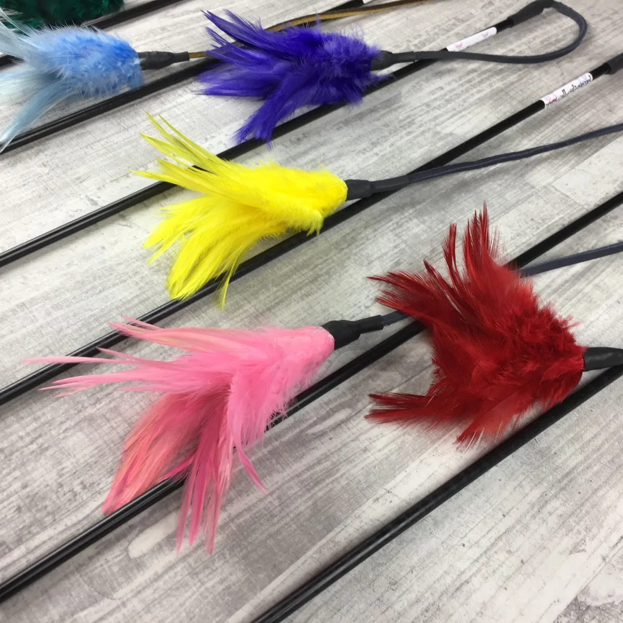 Feathers on a Leather String Cat Teaser Toy