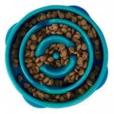 Fun Feeder