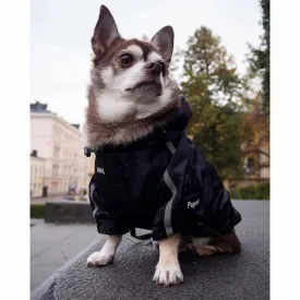 Hundjacka - The dog face