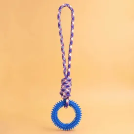 Interactive Training Pet Toy Ring Spiked Ring Dog Teeth Cleaning Pet Supplies