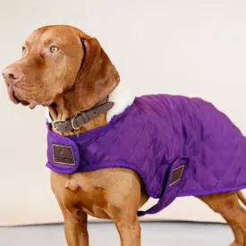 Kentucky Dog Coat, Royal Purple