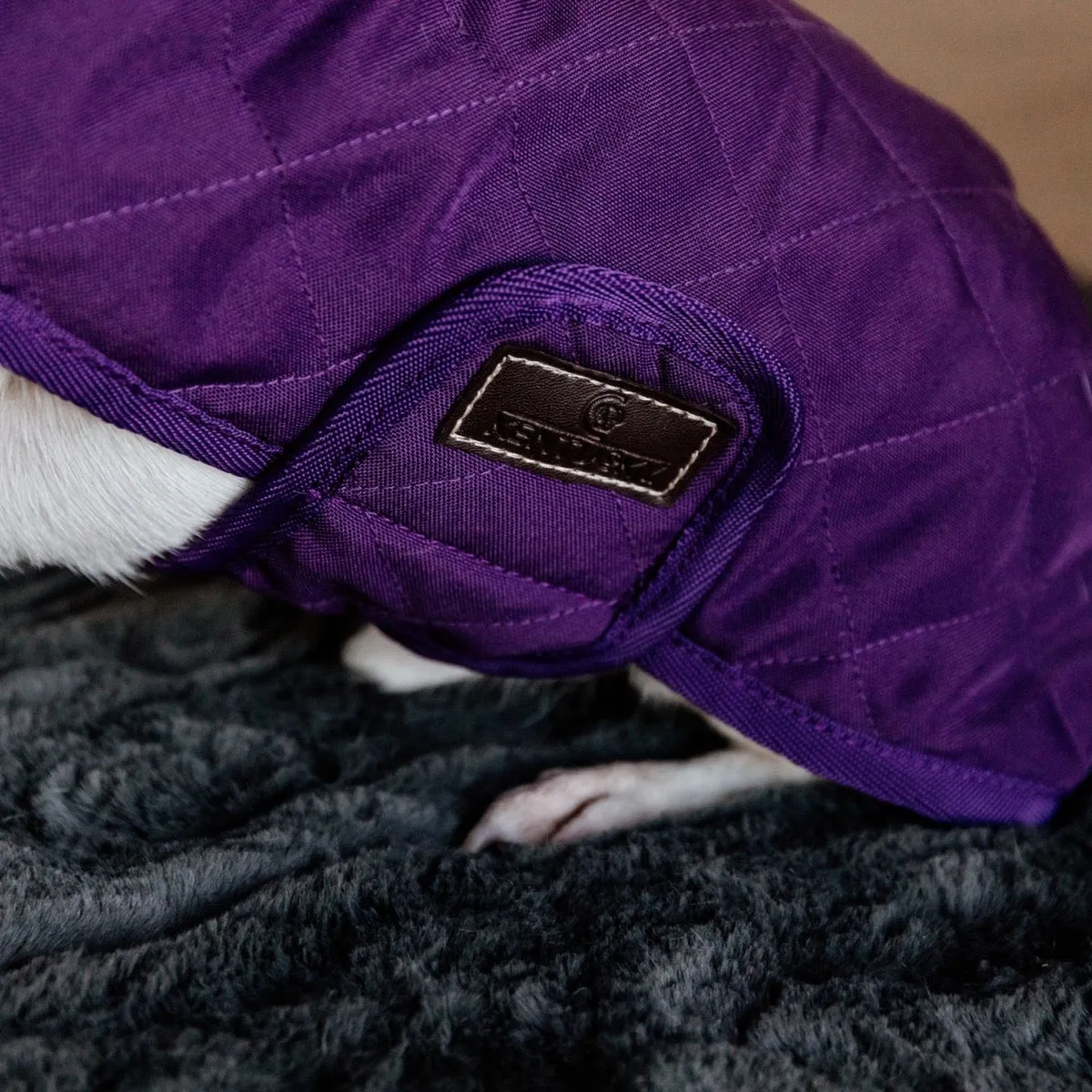 Kentucky Dog Coat, Royal Purple