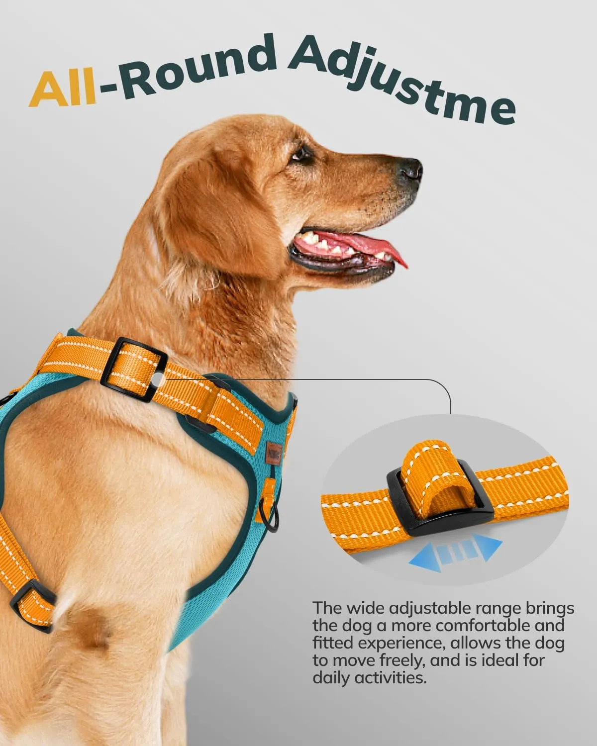 MIDOG Dog Harness, No-Pull Pet Harness and Leash Set for Small Medium Large Dogs Walking, No Choke Front Clip Dog Reflective Harness, Adjustable Soft Padded Pet Vest with Easy Control Handle (Blue,XS)
