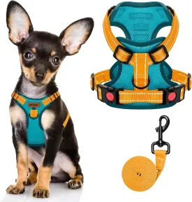 MIDOG Dog Harness, No-Pull Pet Harness and Leash Set for Small Medium Large Dogs Walking, No Choke Front Clip Dog Reflective Harness, Adjustable Soft Padded Pet Vest with Easy Control Handle (Blue,XS)