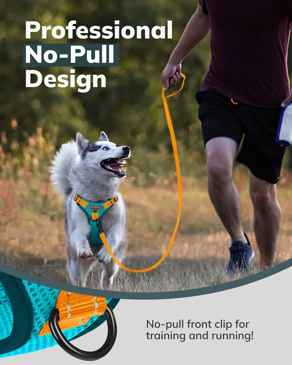 MIDOG Dog Harness, No-Pull Pet Harness and Leash Set for Small Medium Large Dogs Walking, No Choke Front Clip Dog Reflective Harness, Adjustable Soft Padded Pet Vest with Easy Control Handle (Blue,XS)
