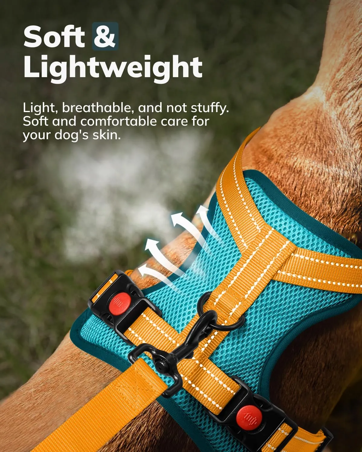 MIDOG Dog Harness, No-Pull Pet Harness and Leash Set for Small Medium Large Dogs Walking, No Choke Front Clip Dog Reflective Harness, Adjustable Soft Padded Pet Vest with Easy Control Handle (Blue,XS)