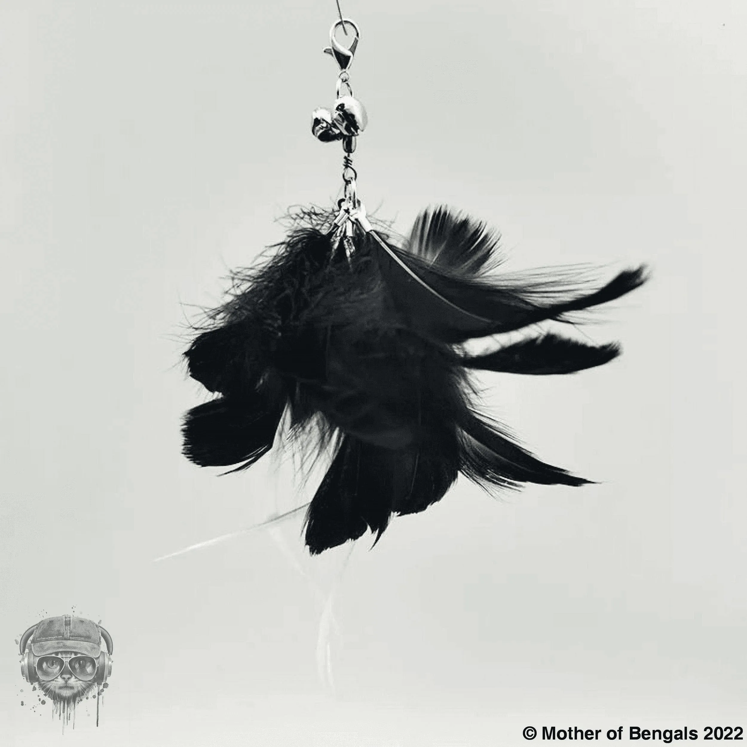 Mother Of Bengals,  Long tail Warbler Bird, 5 piece Feather & Cat Wand Teaser Set