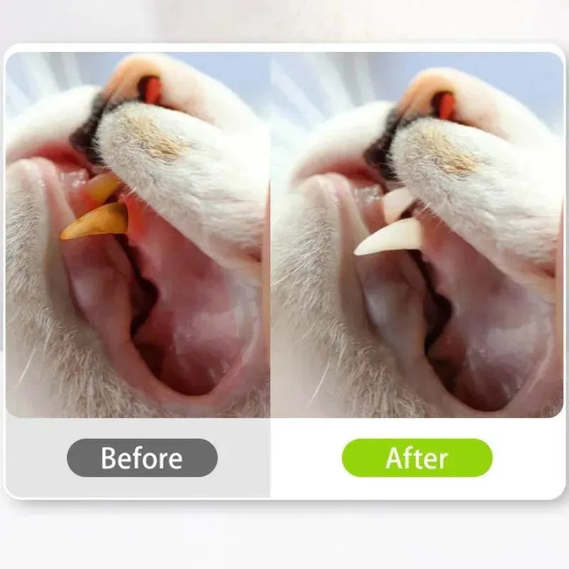 Natural Cat Dental Toy Chew Stick