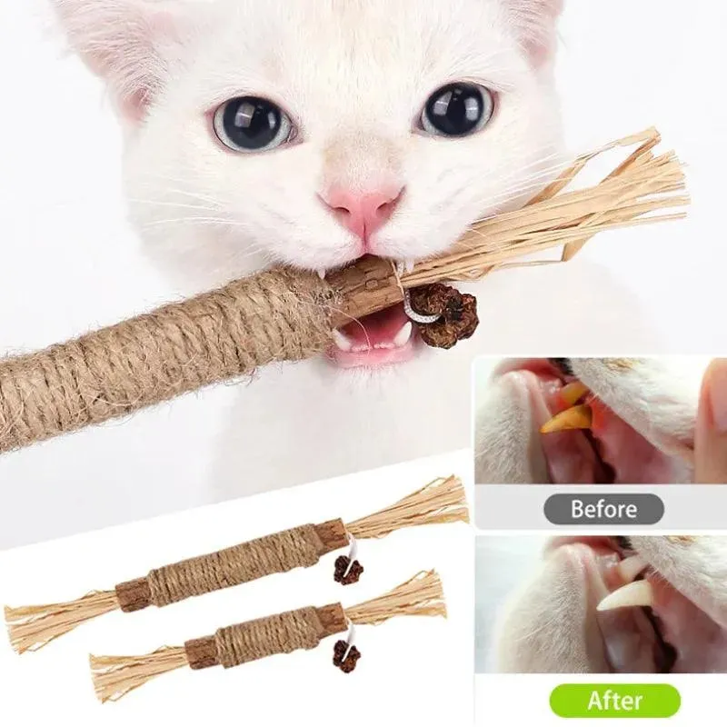 Natural Cat Dental Toy Chew Stick