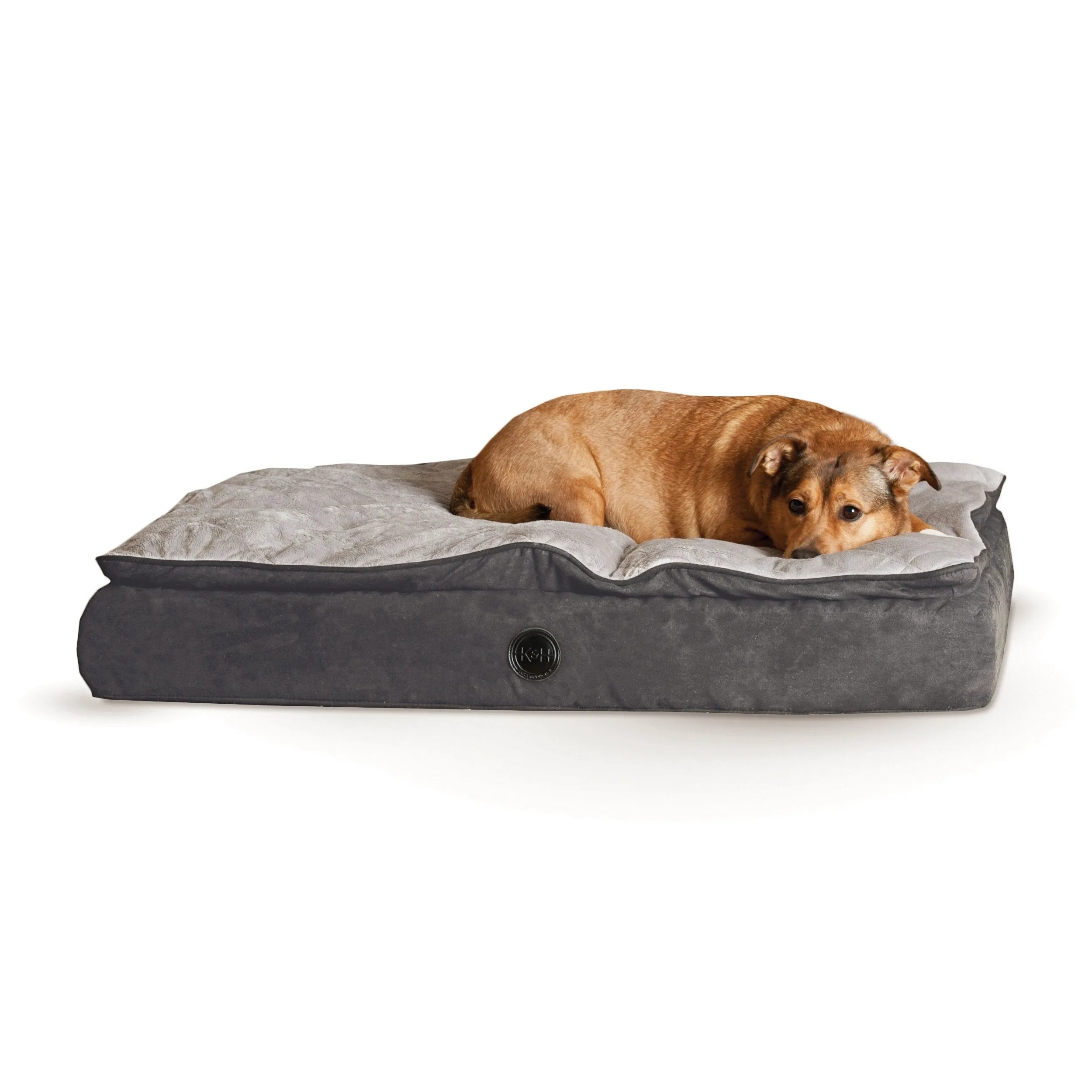 Orthopedic Dog Bed with Feather Top - 5" Medical Grade Memory Foam