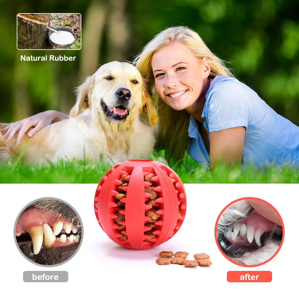 Pat and Pet Emporium | Pet Chew Toys | Treat Chew Ball 2 Pcs