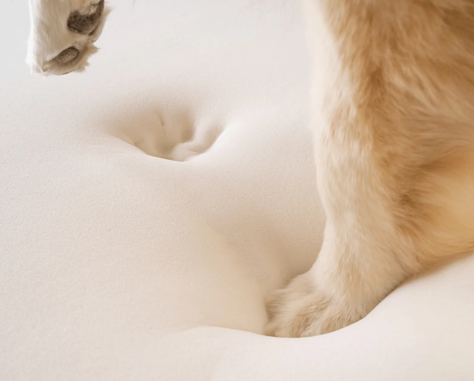 Paw.com x BarkBox PupRug™ Faux Fur Orthopedic Dog Bed - Polar White
