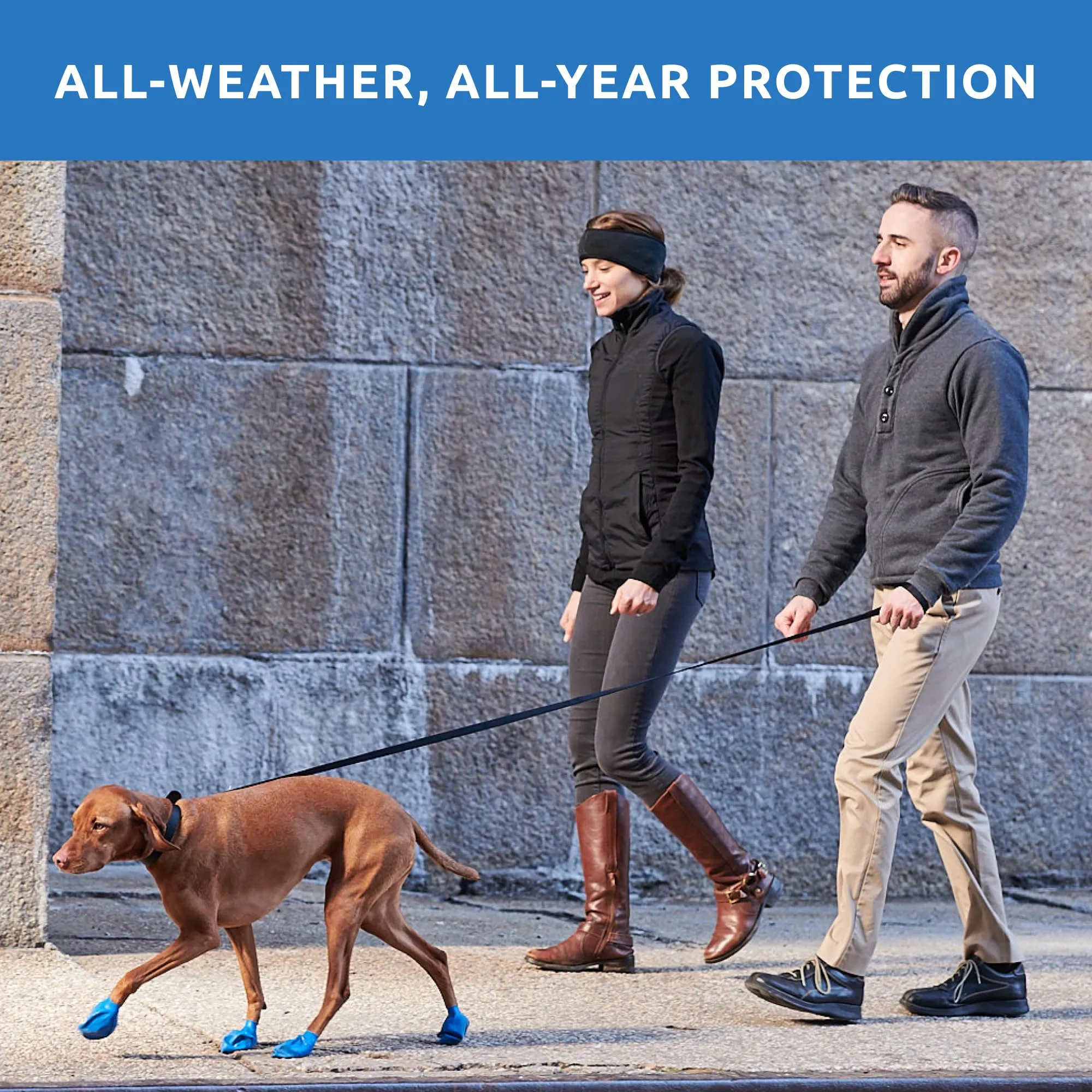 Pawz Waterproof Disposable and Reusable Rubberized Dog Boots - Blue - Medium - 12 Pack