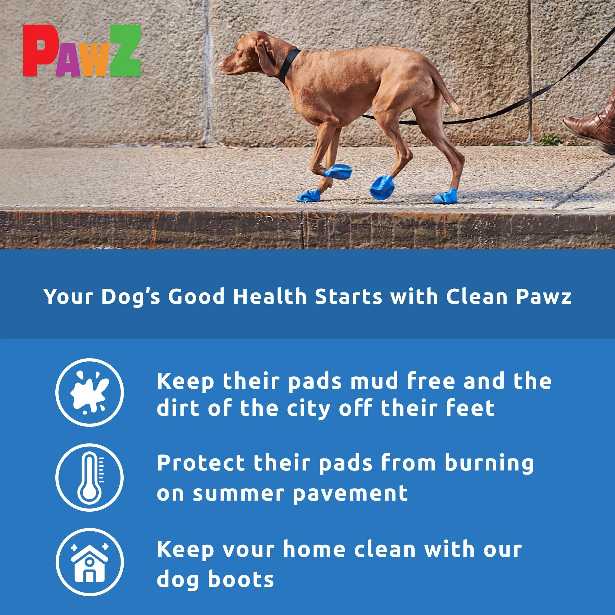 Pawz Waterproof Disposable and Reusable Rubberized Dog Boots - Blue - Medium - 12 Pack