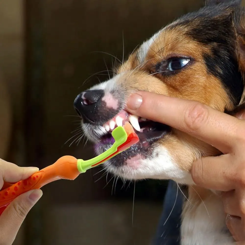 Pet Dog Toothbrush