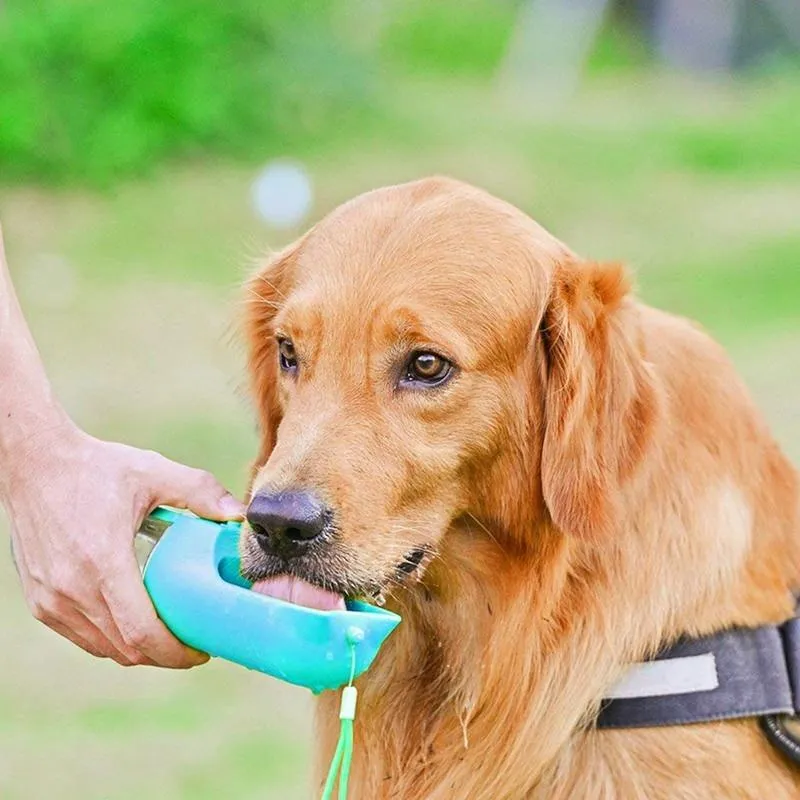 Portable Pet Water Bowl Bottle - Easy One Button Operation