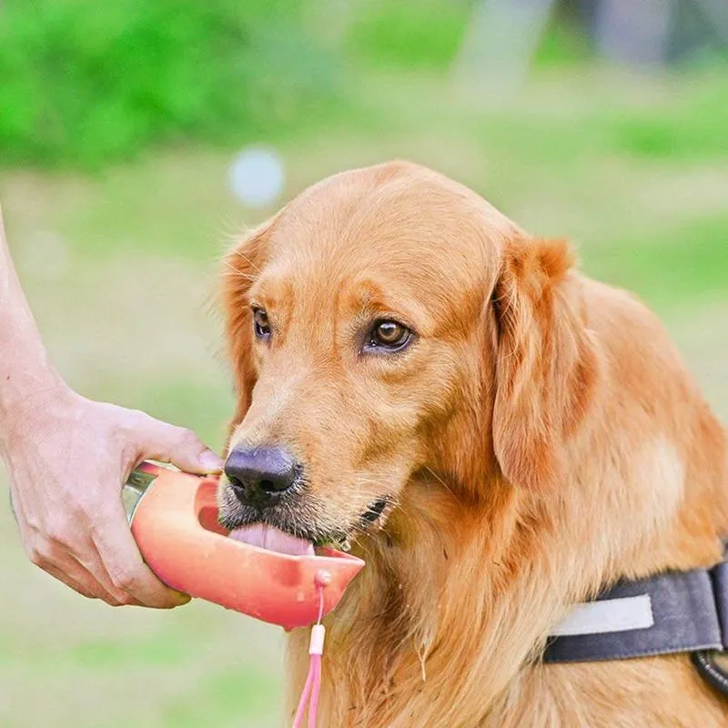 Portable Pet Water Bowl Bottle - Easy One Button Operation
