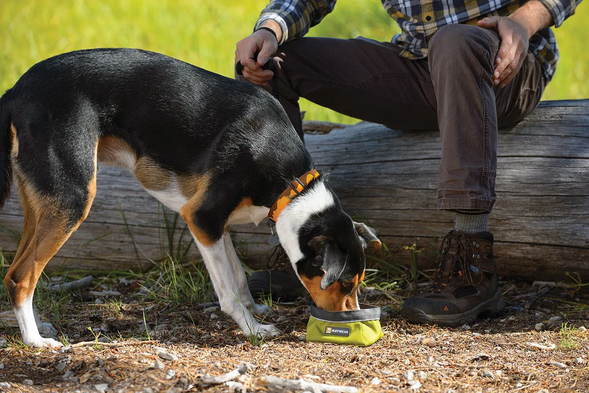 Quencher™ - Portable Dog Bowl (Forest Green)