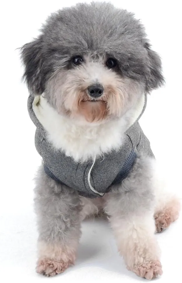 Ranphy Dog Winter Fleece Coat Cold Weather Jacket Chihuahua Hoodies for Small Medium Dogs Pet Cotton Padded Vest Coat Blue S (Size Runs Small One to Two Size Than US Size, Pls Choose Carefully)