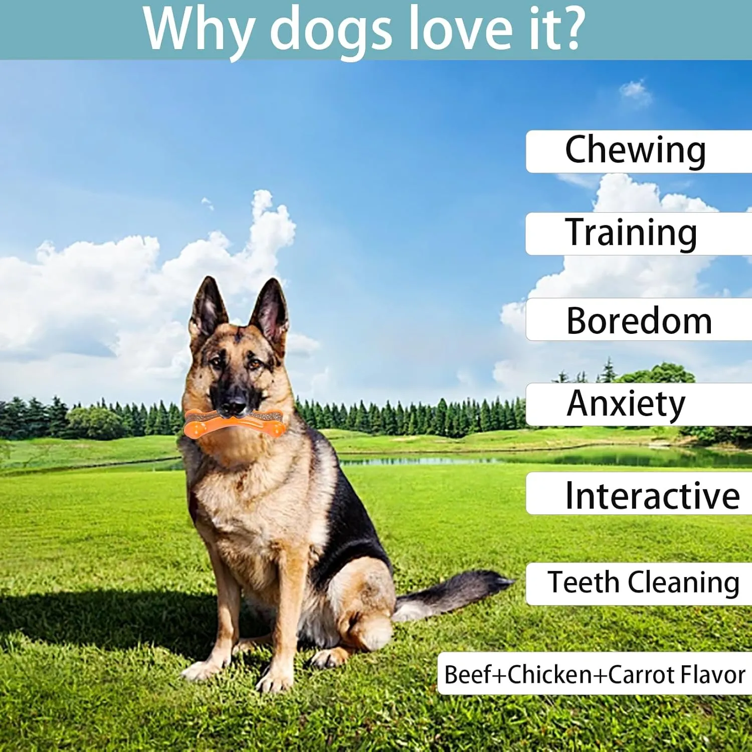 Real Beef Flavor Dog Chew Toys - Indestructible Teething Toys for Large/Medium/Small Breeds, 3 Pack Tough Nylon Dog Toy