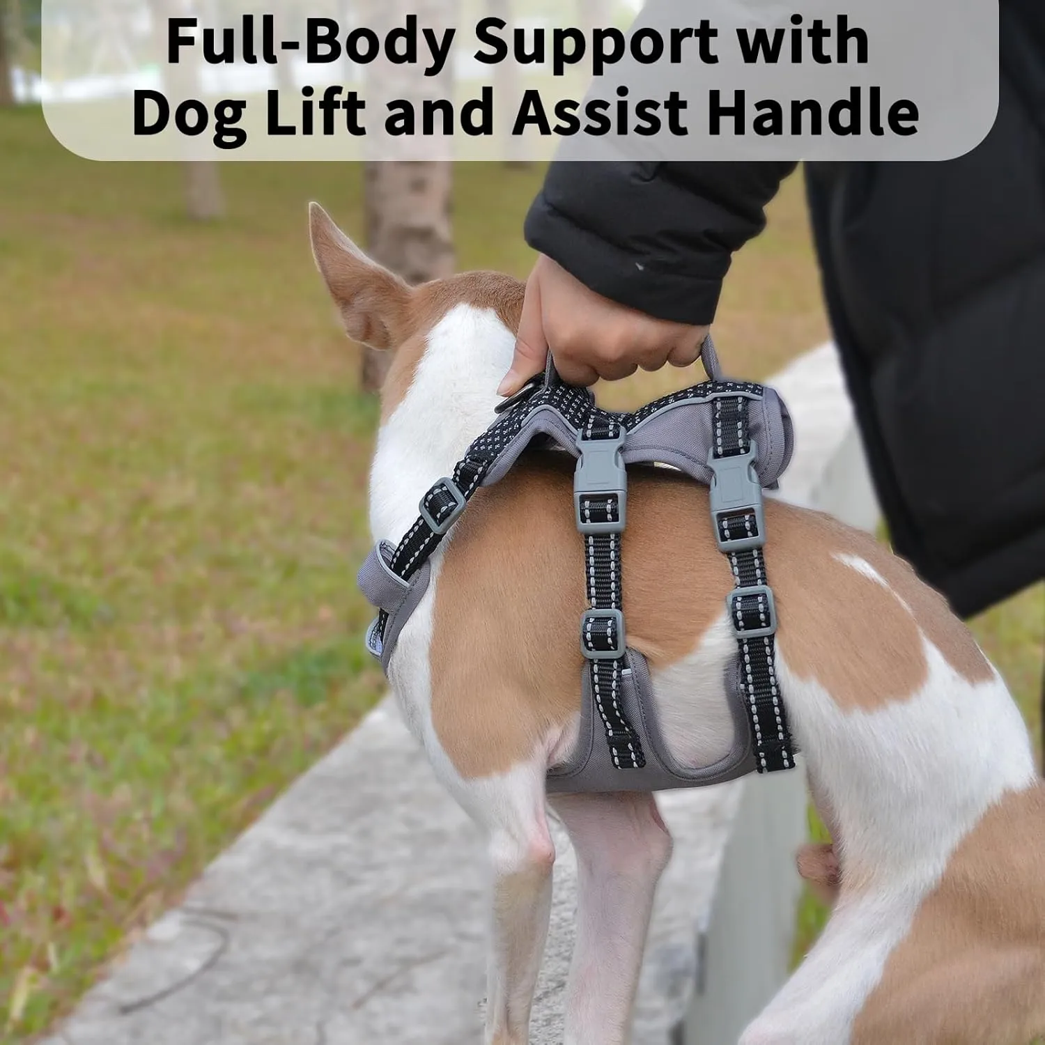 Reflective Dog Harness with Handle, Escape Proof, No Slip, Breathable, Lightweight, Adjustable Lift Harness for Small, Medium, and Large Dogs Walking, Training, and Running Gear(Black,XS)