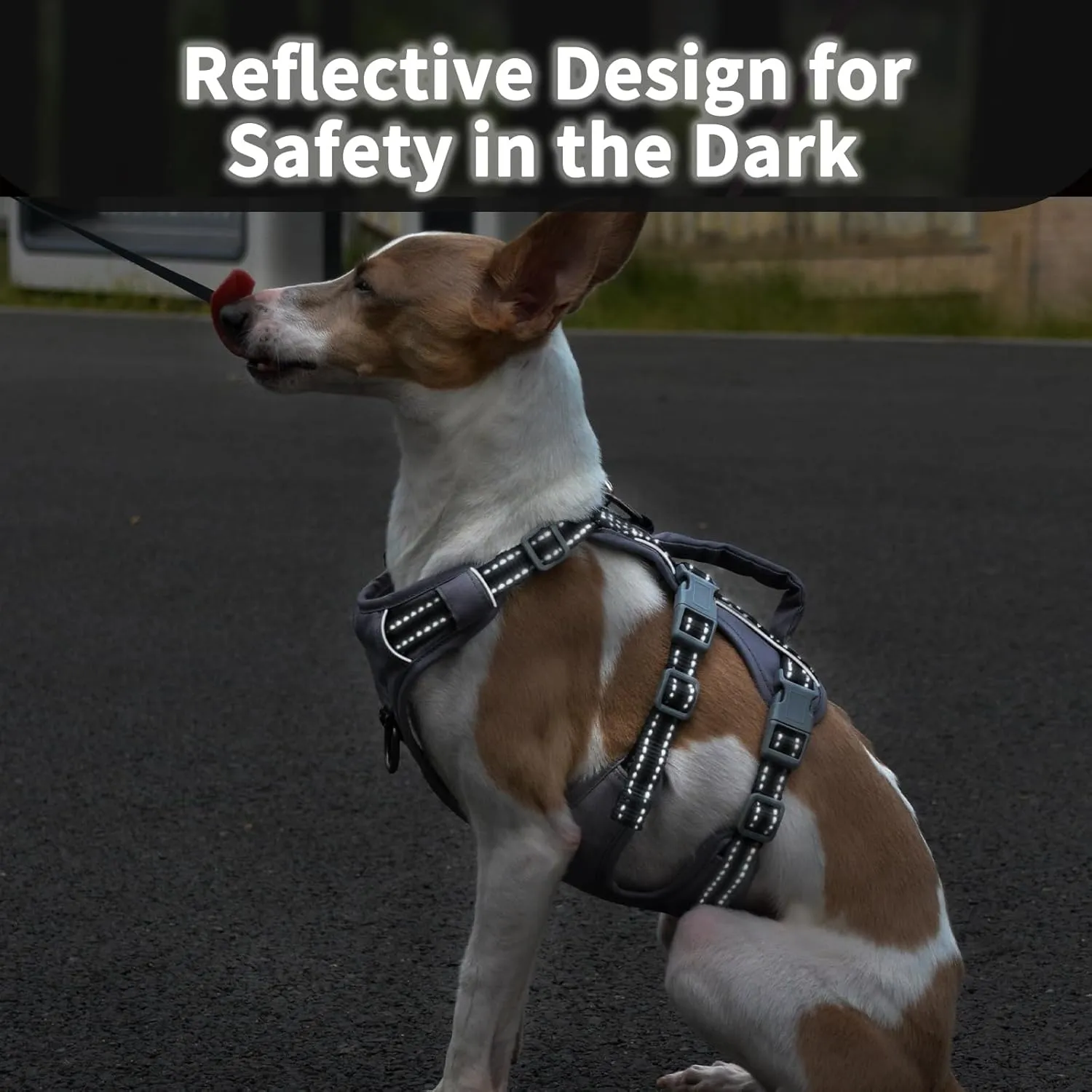Reflective Dog Harness with Handle, Escape Proof, No Slip, Breathable, Lightweight, Adjustable Lift Harness for Small, Medium, and Large Dogs Walking, Training, and Running Gear(Black,XS)