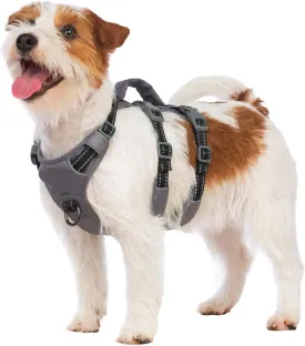Reflective Dog Harness with Handle, Escape Proof, No Slip, Breathable, Lightweight, Adjustable Lift Harness for Small, Medium, and Large Dogs Walking, Training, and Running Gear(Black,XS)
