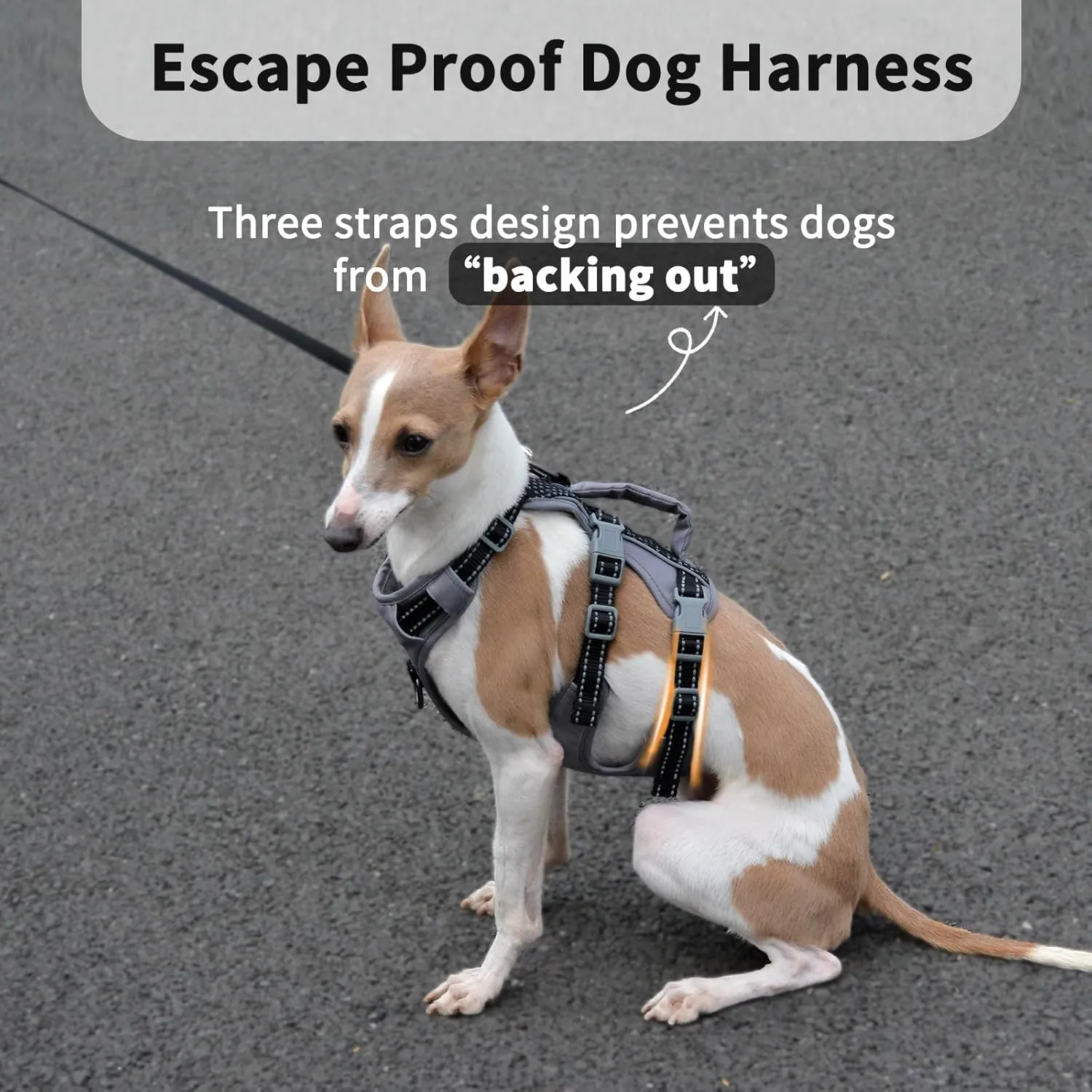 Reflective Dog Harness with Handle, Escape Proof, No Slip, Breathable, Lightweight, Adjustable Lift Harness for Small, Medium, and Large Dogs Walking, Training, and Running Gear(Black,XS)